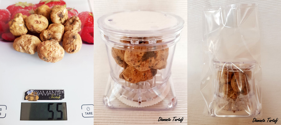 TUBERPACK l'incredibile contenitore brevettato per il Tartufo Bianco fresco - The incredible patented container for the fresh White Truffle (Made in Italy)